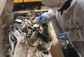 Fully dressed and preserved 350-year-old corpse of French noblewoman found
